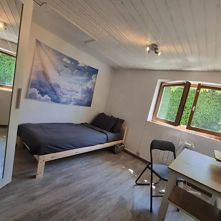 Homestay Geneva House G Ferney-Voltaire
