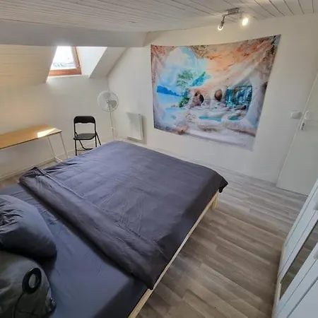 Homestay Geneva House G *